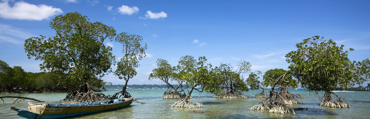 Port Blair with Ross & Havelock Super Saver 4N 5D Tour Package